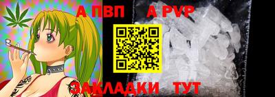 герыч Кингисепп