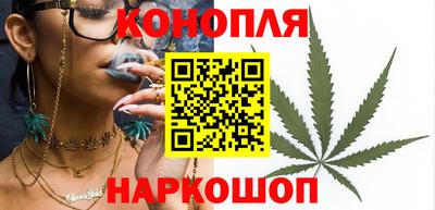 прущие крисы Кимры