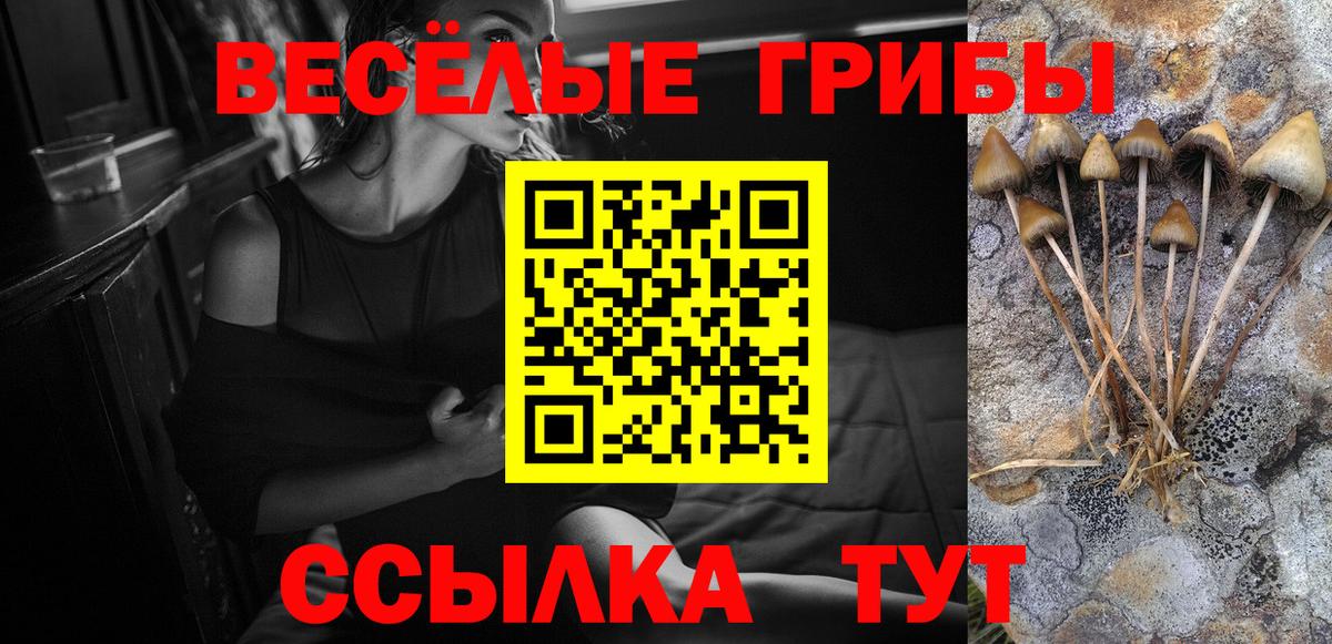 Галлюциногенные грибы ЛСД Димитровград