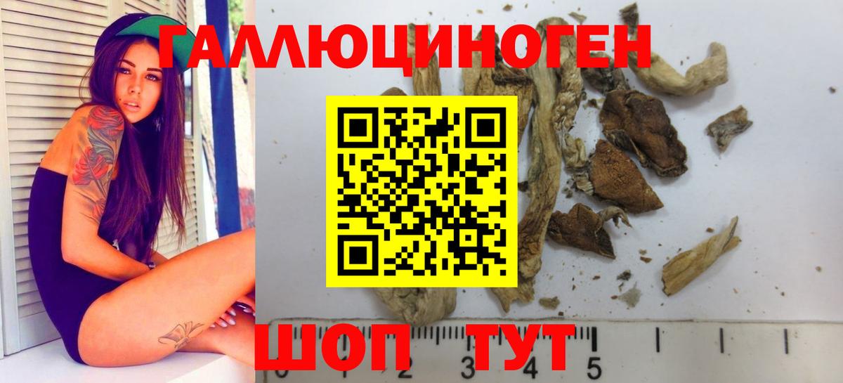 наркота  Галлюциногенные грибы GOLDEN TEACHER  Вход с VPN  Димитровград 